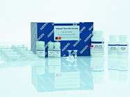 DNeasy Plant Mini Kit From Qiagen