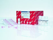 RNeasy Mini Kit From Qiagen