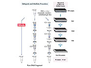 QIAquick PCR Purification Kit From Qiagen