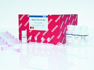 RNeasy Mini Kit from Qiagen