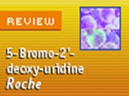 Roche’s 5-Bromo-2'-deoxy-uridine Labeling and Detection Kit II