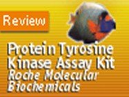 Roche Molecular Biochemicals’ Protein Tyrosine Kinase Assay Kit (Non-Radioactive)