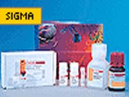 Sigma ProteoProfile Trypsin In-Gel Digest Kit