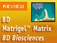 BD Matrigel™ Matrix Growth Factor Reduced (GFR) from BD Biosciences