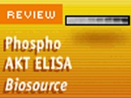 BioSource’s Immunoassay Kit AKT [pT308]