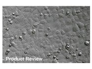 GeneJuice® Transfection Reagent From Novagen