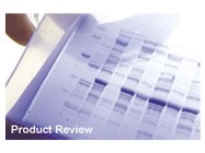 Rosetta-gami ™ B Host Strains From Novagen