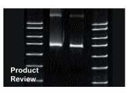 SpinPrep™ PCR Clean-up Kit From Novagen