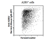 Anti-A2B5 Microbeads from Miltenyi Biotec