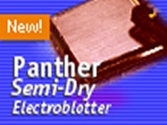 Owl Separation Systems Panther(TM) Semidry Electroblotter