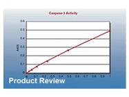Caspase 3 Colorimetric Assay Kit [CPP32] From Chemicon