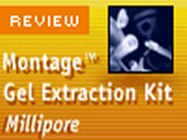 Millipore’s Montage DNA Gel Extraction Kit