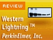 PerkinElmer Life Science’s Western Lightning Chemiluminescence Reagent Plus Kit