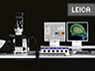 TCS SP5 Confocal Microscope From Leica