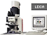 The True Confocal Scanner Leica TCSSL Microscope 