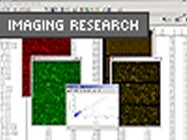 ArrayVision Version 8.0