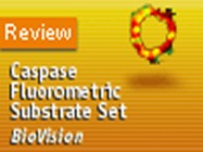 BioVision’s Caspase Fluorometric Substrate Set