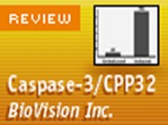 BioVision’s Caspase-3/CPP32 Fluorometric Protease Assay Kit