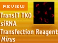 Mirus' TransIT-TKO siRNA Tranfection Reagent