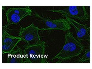 TransIT®-siQUEST™ siRNA Transfection Reagent From Mirus