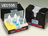 Vectastain Universal Elite ABC Kit From Vector Laboratories