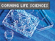 Corning Costar Transwell Supports
