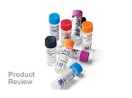 Mouse IL-1beta/IL-1F2 DuoSet ELISA Development Kit From R&D Systems
