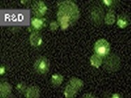 R&D Systems' TNF-alpha Quantikine ELISA System