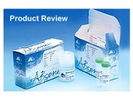ABSOLUTE™ QPCR SYBR® Green Mix From ABgene