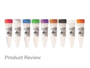 Reverse-iT™ 1st Strand Synthesis Kit From ABgene