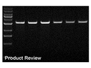 Zyppy™ Plasmid Miniprep Kit From Zymo Research
