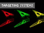 ER Stress Monitoring Kit From Targeting Systems