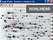 Nonlinear Dynamics’ Phoretix 2D Image Analysis Software 