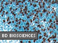 BrdU In-Situ Detection Kit From BD Biosciences