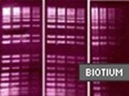 Biotium's GelRed Nucleic Acid Gel Stain