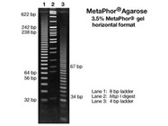 MetaPhor Agarose from Lonza