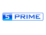 5 PRIME PerfectPure RNA Purification (formerly Gentra Systems' Versagene)