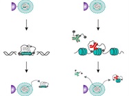 Improving Methods for ChIP-seq