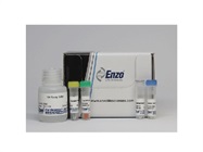 CYTO-ID® Autophagy detection kit