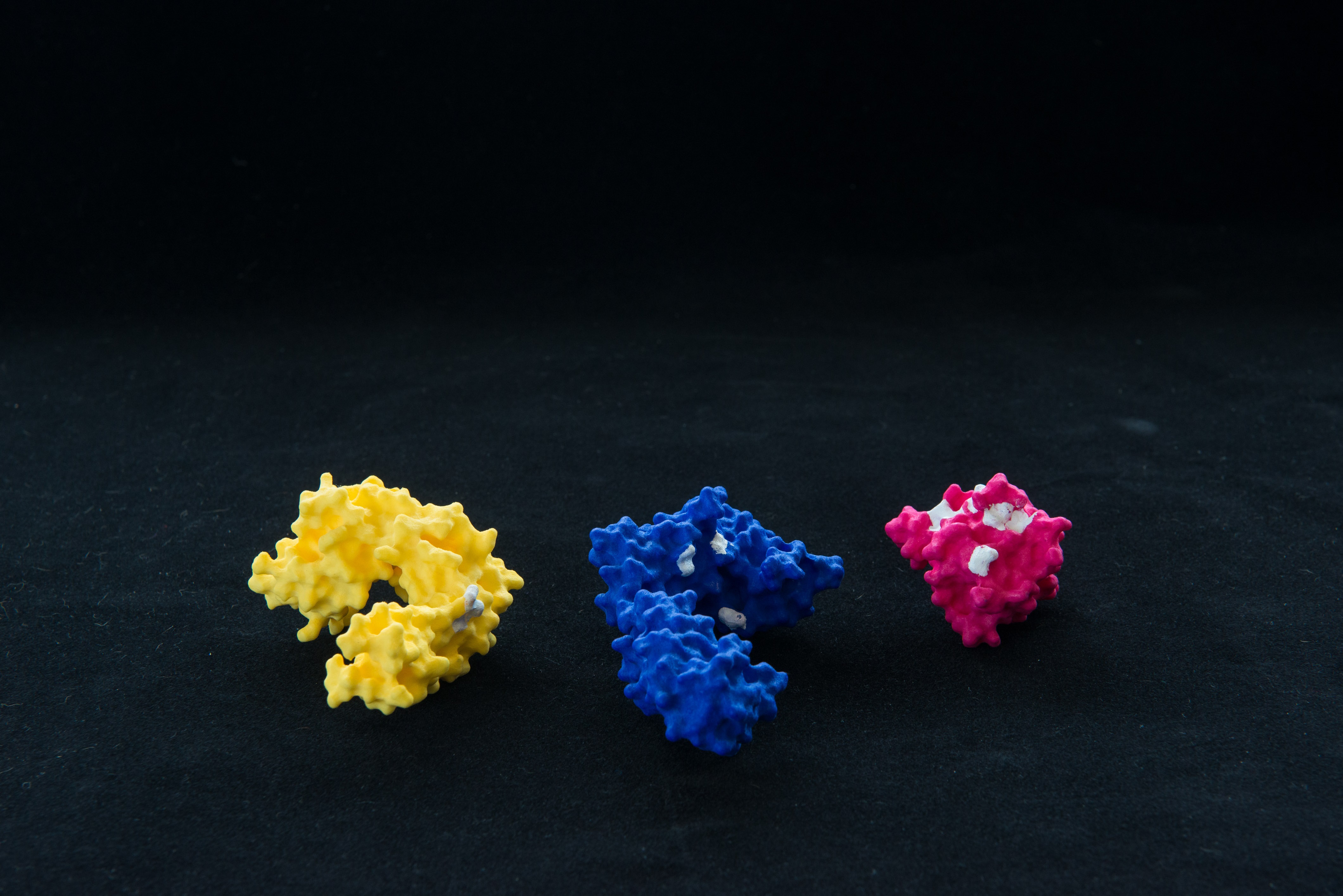 Protein painting