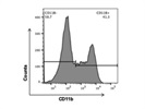 A Good APC/Cy7 Anti-Mouse/Human CD11b Antibody from BioLegend