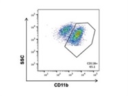 A Good BV 510 Anti-Mouse/Human CD11b Antibody from BioLegend