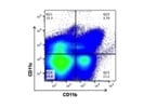 A Good BV650 Anti-Mouse/Human CD11b Antibody from BioLegend