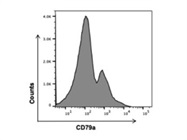 A Good APC Anti-Mouse CD79a Antibody from BioLegend