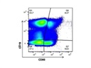 A Good PE/Cy7 Anti-Mouse CD80 Antibody from BioLegend