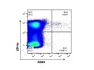 A Good FITC Anti-Mouse CD83 Antibody from BioLegend