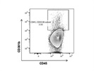 A Good PE Anti-Mouse CD301b (MGL2) Antibody from BioLegend