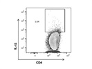 A Good IL-13 Monoclonal Antibody PE from Thermo Fisher