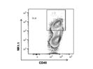 A Good BV421 Anti-Mouse NK-1.1 Antibody from BioLegend