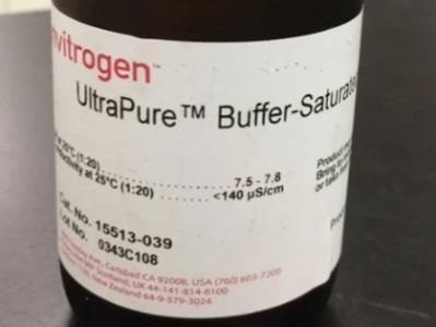 Best Saturated Phenol Buffer for Nucleic Acid Extraction | Biocompare